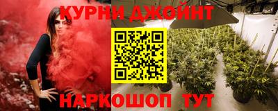 сатива Будённовск