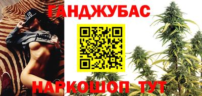 сатива Будённовск