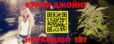 сатива Будённовск
